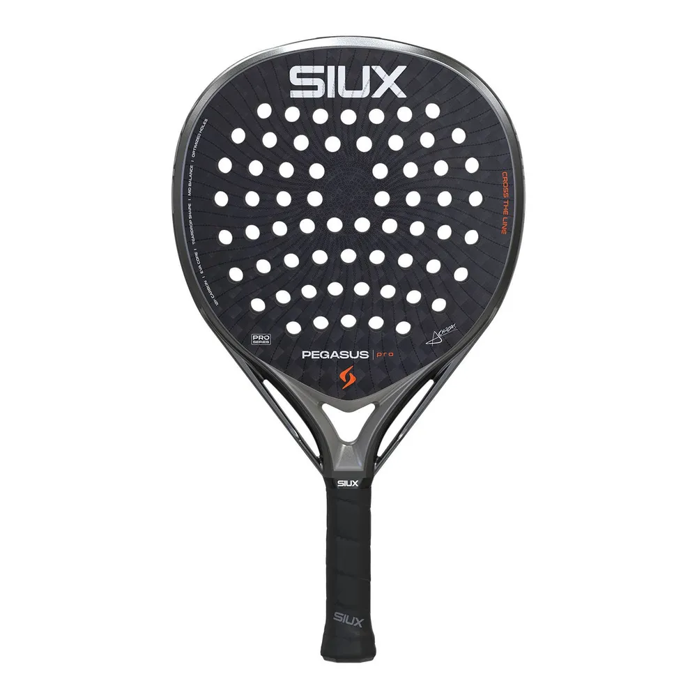 Siux Pegasus Pro 2026